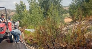 Bursa Yenişehir'de alevler ormana ulaşmadan söndürüldü