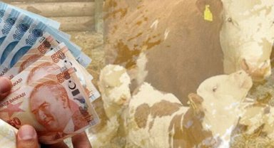 Çiftçilere müjde: 4,5 milyar TL destek hesaplarda