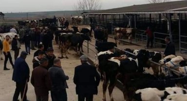 Edirne Keşan'da canlı hayvan pazarı kapatıldı
