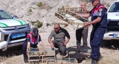 Gediz'de yasak ava 1 milyon ceza!