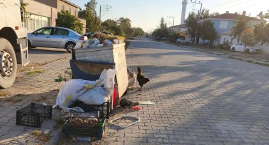 İpsala'da CHP'li Meclis Üyesi'nden Başkan Kerman'a bakımsızlık eleştirisi