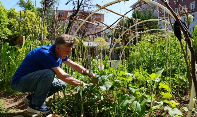 İstanbul Maltepe'de altın yıllara yeşil bir nefes