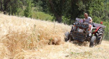 İstanbul'dan Ordu'ya uzanan çiftçilik hikayesi