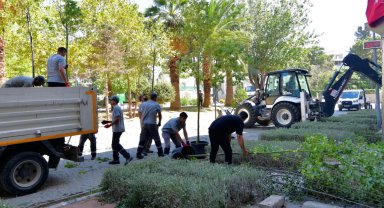 İzmir Bornova'da sakura ve tarçınla yeni bir soluk