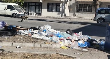 İzmir Buca'da çöp krizi! Mahalleler çöplüğe döndü, vatandaşlar isyanda