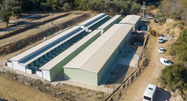 İzmir Güzelbahçe'de can dostlara yeni yaşam merkezi