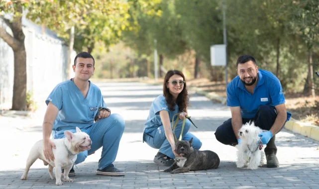 İzmir'de el konulan 20 cins köpek sahiplendirilecek
