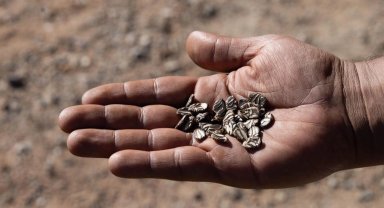 İzmir'de eller toprakla buluştu