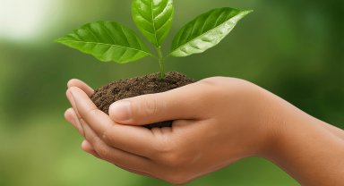 İzocam'dan 'Sürdürülebilirlik Raporu'