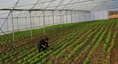 Kocaeli Büyükşehir'den çiftçilere modern sera desteği