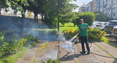 Kocaeli'de vektörle mücadeleye güçlü destek