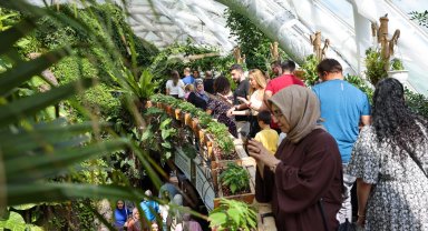 Konya Tropikal ziyaretçilerin gözdesi oluyor