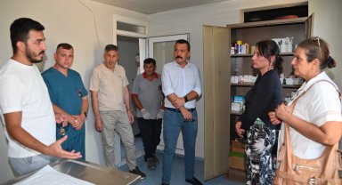 Manisa'da sokak hayvanları için yeni yaşam alanları oluşturuluyor