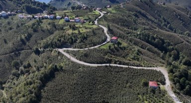 Ordu Gürgentepe'de ulaşım konforu artıyor