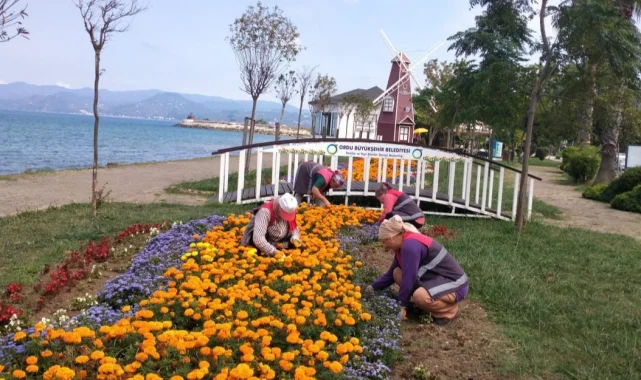 Ordu'da kent estetiğine Büyükşehir dokunuşu