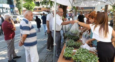 Ordu'da kışlık sebze atağı: 200 bin fide üreticiyle buluşuyor