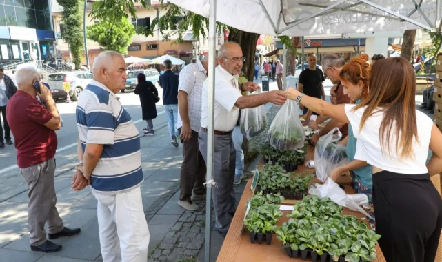 Ordu'da kışlık sebze atağı: 200 bin fide üreticiyle buluşuyor