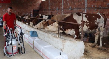 Ordu'da sütün değeri artıyor üreticinin yüzü gülüyor