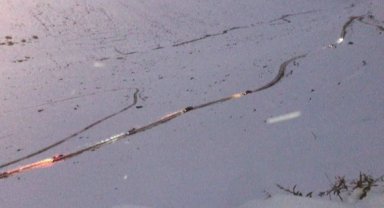 Rize'de Ayder Yaylası ulaşım çalışmaları 'çığ'a takıldı!