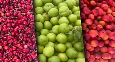 Tarım ÜFE aylık azaldı, yıllık arttı! En yüksek artış yumuşak ve sert çekirdekli meyvelerde