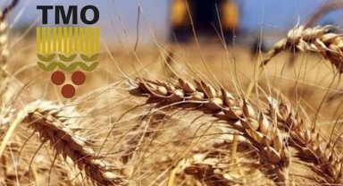 TMO'dan haciz iddialarına yalanlama