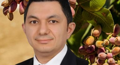 UKAB MYK Üyesi Büyükmurat: İthal fıstık çiftçiyi bitirir!