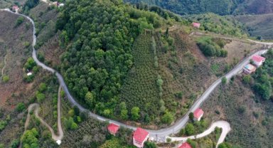 Ünye Pelitliyatak'ta mutlu son!