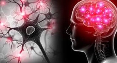 Yapay zekâ ve EEG ile otizm ve dislekside erken teşhis umudu