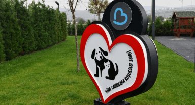 Balıkesir'de can dostlar Büyükşehir eliyle güvende