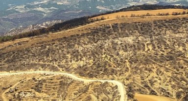 Bilecik'te yangın bölgelerine havadan inceleme