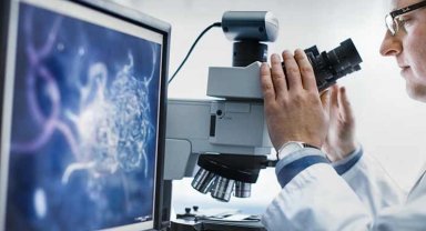 Bilimsel araştırma geliştirme hizmetleri revaçta