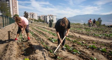 Bornova'da bostanlar kadınların emeğiyle yeşeriyor