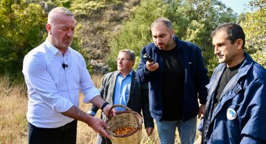 Bursa Karacabey 'Alıç Meyvesi'ni dünya pazarında tanıtacak!