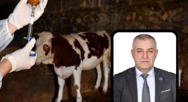 Bursa Mustafakemalpaşa'da şap alarmına A Parti açıklaması