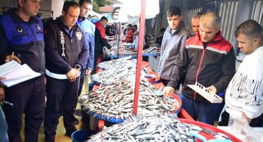 Bursa Yenişehir'de balık pazarına sıkı denetim
