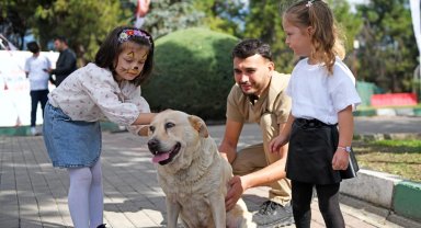Bursa'da can dostlar Osmangazi korumasında