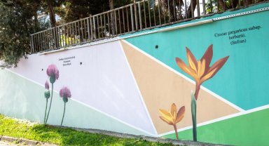 Bursa'nın hazineleri duvarlara işleniyor