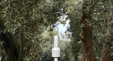 Cargill'in 1000 Çiftçi 1000 Bereket programı 7'nci yılında