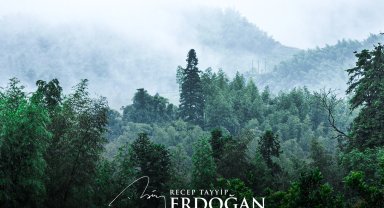 Cumhurbaşkanı Erdoğan'dan 'Yeşil Vatan Seferberliği' çağrısı