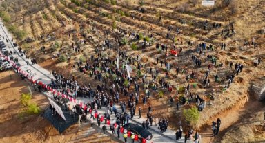 Deprem Şehitleri Hatıra Ormanı yenileniyor