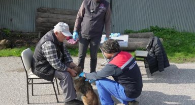 Düzce'de yerinde sahiplendiriliyor!