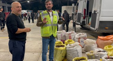 Düzce'nin tescilli lezzeti kuzu kestanesi pazara indi!