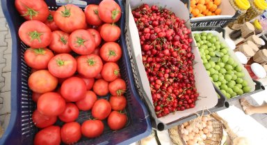 Efes Tarlası Yaşam Köyü'nde Üretici Pazarı 19 Ekim'de kapılarını açıyor