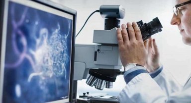 Hizmette en yüksek artış mesleki ve bilimsel oldu