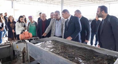 İzmir'de sezonun ilk zeytinyağı Başkan Tugay'dan