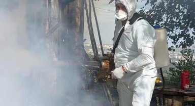 Kahverengi kokarca mücadelesinde 1 milyon haneye ilaçlama