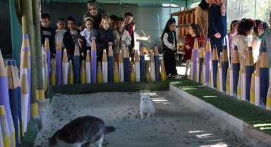 Kayseri Kocasinan'da can dostlar için özel kasaba