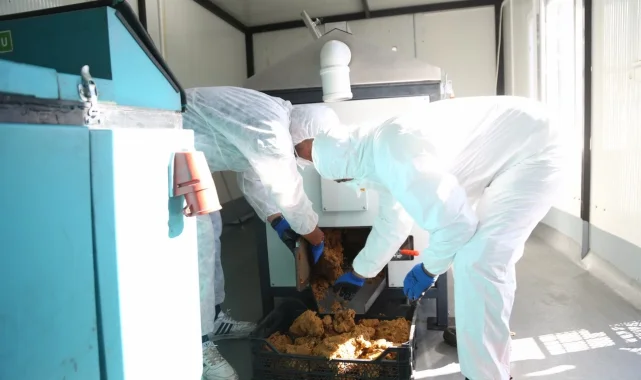 Kayseri Melikgazi yemek atıklarını can dostlarına mama yapıyor