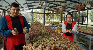 Konya Selçuklu'da otizmliler sukulentleri sevgiyle yetiştiriyor