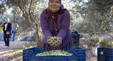 Mersin'de kadın eli toprağa değer katıyor